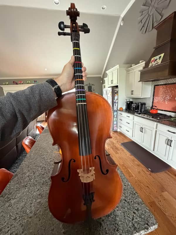 Eastman VC95 1/2 Size Cello | Excellent Condition | Professionally Inspected image 1