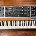 Moog Memorymoog Plus, serviced and sounding wonderful!