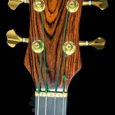 AMAZING Alembic Stanley Clarke Signature Deluxe Lined Fretless Bass image 6