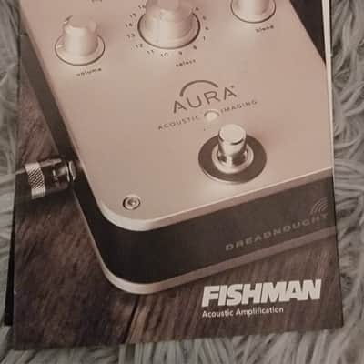 Fishman Aura Acoustic Imaging Dreadnought Pedal 2010s - Silver image 8