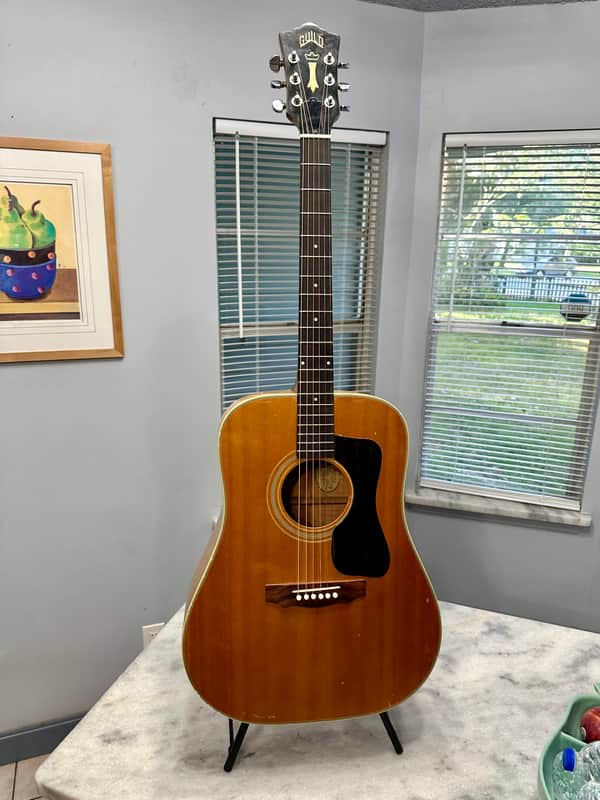 1973 Guild D-44M Solid Maple, Fresh Neck Reset, Bob Colosi Equipped image 1