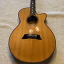 Takamine PT-122 ST
