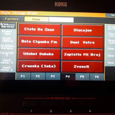 Korg Pa4x61 image 11