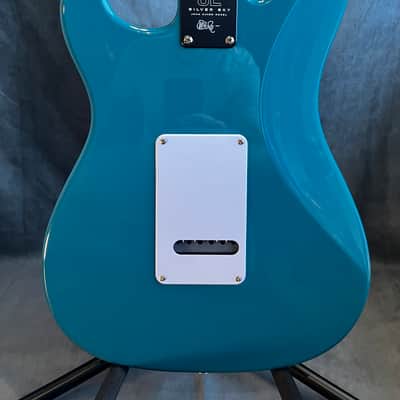 PRS SE Silver Sky - Nylon Blue - Maple FB - Free Shipping 🇨🇦 🇺🇸 image 9