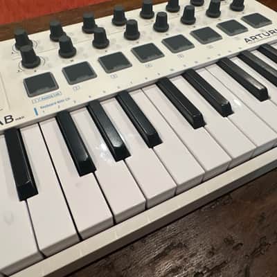 Arturia MiniLab MkII 25-Key MIDI Controller 2017 - Present - White image 2
