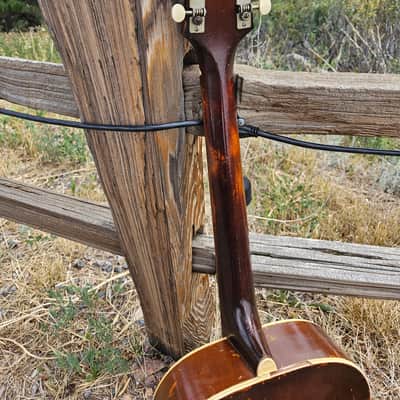 Epiphone Olympic 1937 Sunburst Guitar! Dave Rawlings Favorite!  Additional Photos! image 16