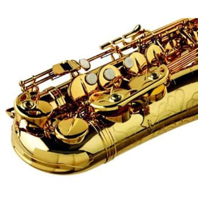 Zonda Alto Saxophone Outfit with Case ZAS201RA - Brass image 3