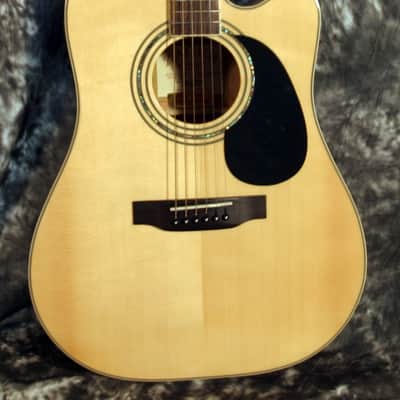 Zager EZ-Play ZAD50CE Acoustic Electric image 3