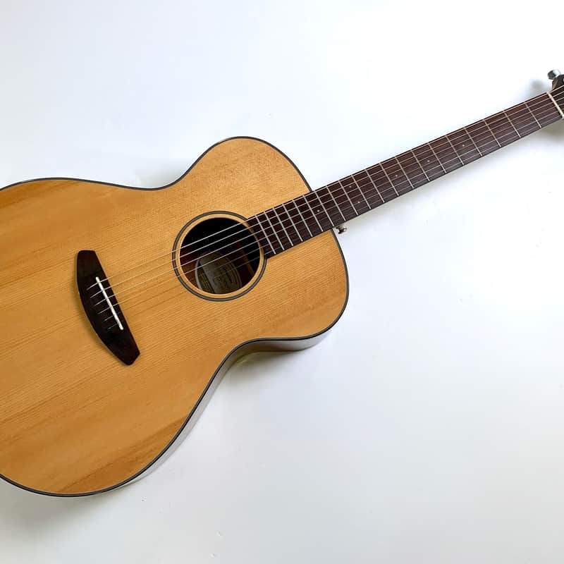 2021 – Present Breedlove Discovery S Concert Natural