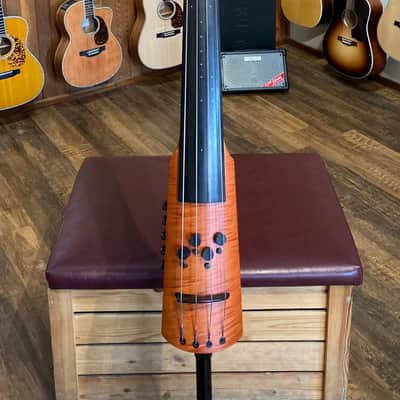 NS Design CR4M Electric Upright Bass (Used) image 1