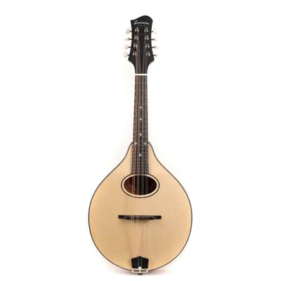Eastman PCH-M104 Flat Top Mandolin - Natural w/ Bag image 2