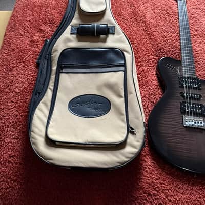 Godin xtSA 2010s - Trans Black image 11