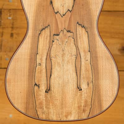 Cordoba 24 Series Ukes | 24C Spruce Concert Ukulele - Natural image 2