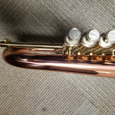 Rare Blessing B155 Artist 4-Valve Flugelhorn W/ Rose Brass Bell, New ProTec Case! image 5