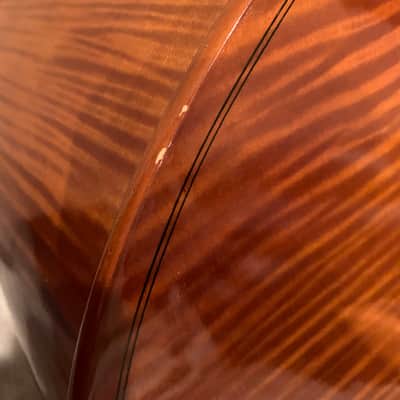 Christopher 3/4 Hybrid Bass DB303T with Steiner Brazilwood Bow and Meisel MBS Stand image 7