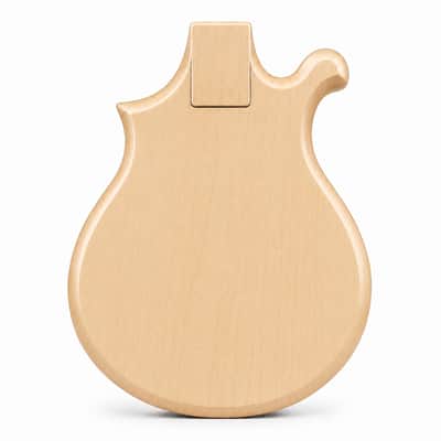 Weymann ®  USA B2 Bass Guitar 4 + 5 String 2027 Custom Shop image 3