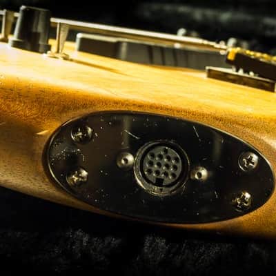Warr Guitar TGSS Trey Gunn Signature Series image 5