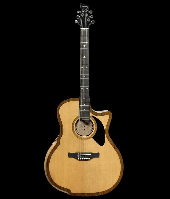 Riversong P2P-GA-Bari Baritone Guitar image 1