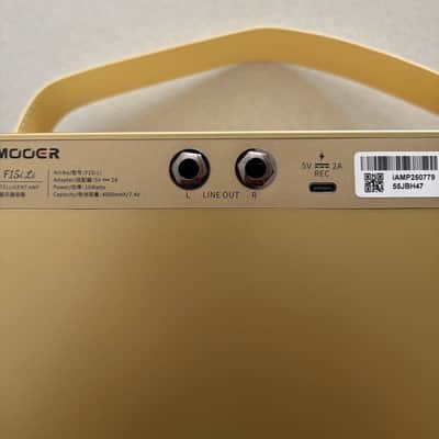 Mooer F15i 2025 image 8