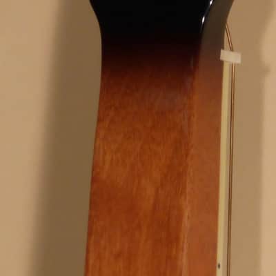 Gold Tone PBS Mahogany Squareneck Resonator C. 2016 image 8