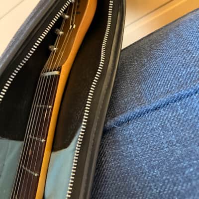 Victoria Luggage Fender Gig Bag 1963 - Leather image 3