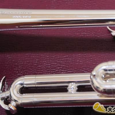Brasspire Unicorn BPTRP-1200S (New) Piccolo Trumpet image 12