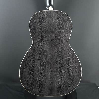 PRS SE P20E Parlor Acoustic Guitar Dog Hair #214 image 12
