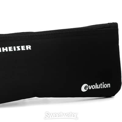 Liquid Audio - Sennheiser E 902 Cardioid Dynamic Kick Drum Microphone Bundle w/Pig Hog PHM10 8mm Mic Cable Polishing Cloth image 2