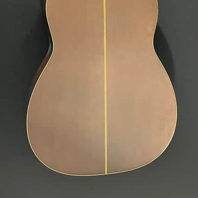 Martin N-10 1968 - 1993 - Natural image 2