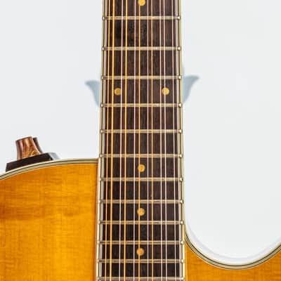 Daion Year Series '81 Gazelle / 12 String Electric Acoustic image 3