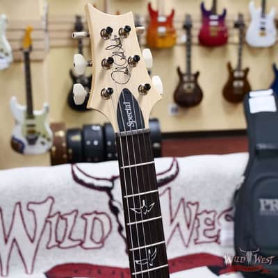 2025 Paul Reed Smith PRS Swamp Ash Special Maple Fingerboard White Doghair Smokeburst 7.70 lbs image 6