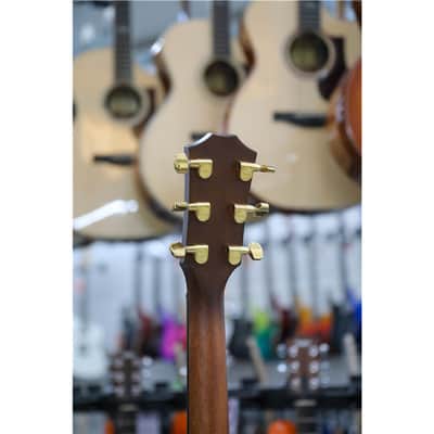 TAYLOR 50th Anniversary 314ce LTD image 6