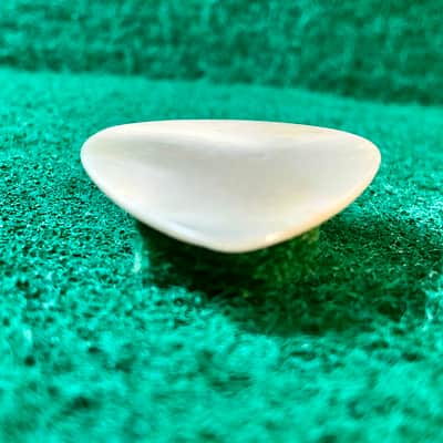 Seashell guitar pick-1.1mm, classic profile… by BeachSidePicks image 4
