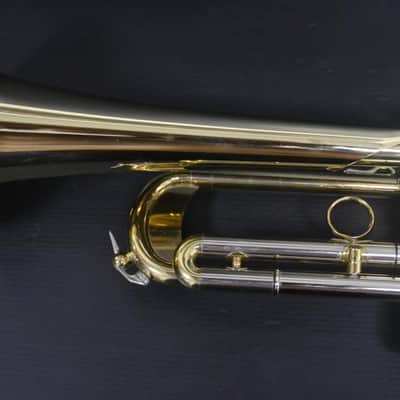 Courtois Evolution III - Lacado image 5