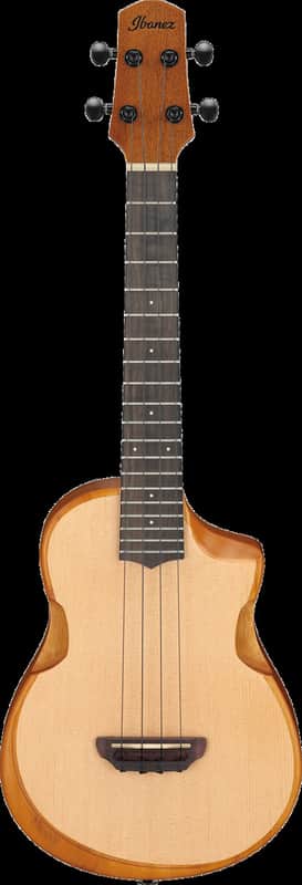 Ibanez Aut10 Opn image 1