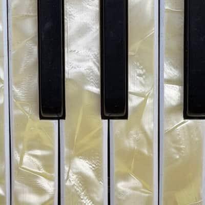 Vintage Iorio Italian Piano Accordion with Mother of Pearl Keys image 8
