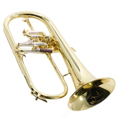 S.E. Shires Model Q19 Q-Series Professional Flugelhorn BRAND NEW image 17