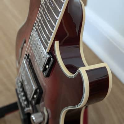 Firefly Pegasus Hollow-Body 2026 - *RARE* Flamed Maple Cherry Burst image 6