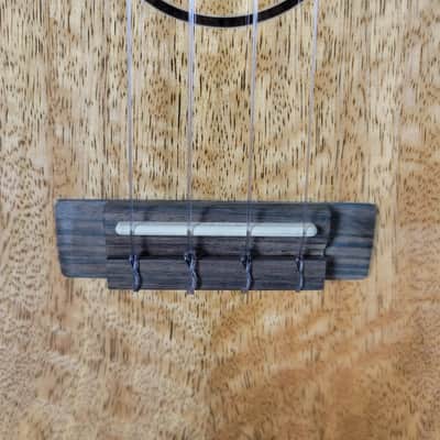 2022 Kala Curly Mango Concert Ukulele KA-MNGG-C image 10