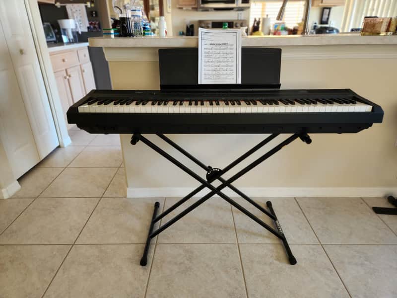 Yamaha P-105 Digital Piano 2010s - Black image 1