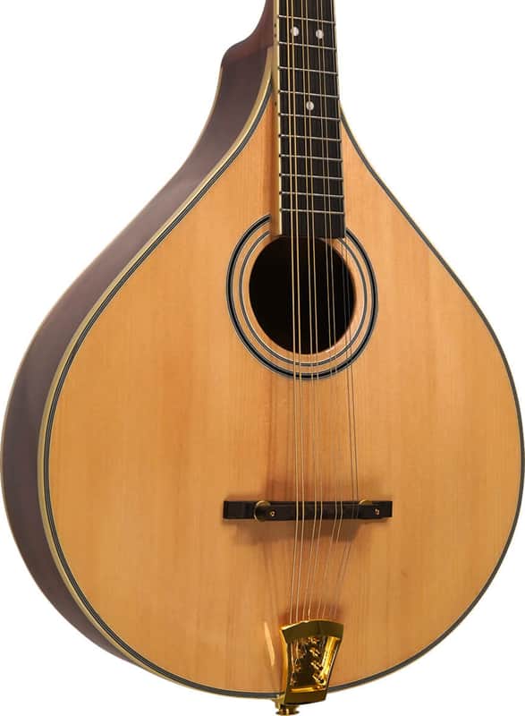 Gold Tone OM-800+ A-Style Acoustic-Electric Octave Mandolin, Solid Spruce Top, Natural image 1