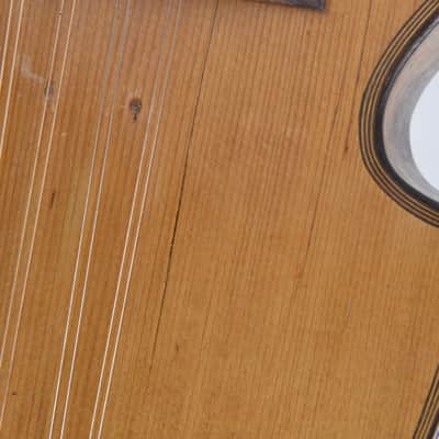 1900s Glaesel Vienna Mandolin for English market image 14