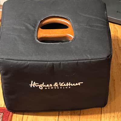 Hughes & Kettner era 1 2-Channel 250-Watt 1x8" Acoustic Guitar Combo 2017 - 2021 - Wood image 13