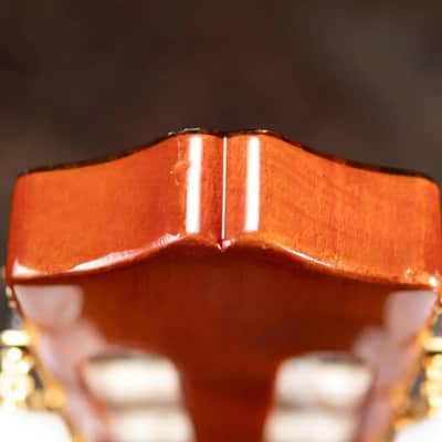 Cordoba C5 Classical Acoustic Guitar with Gig Bag - Used image 17