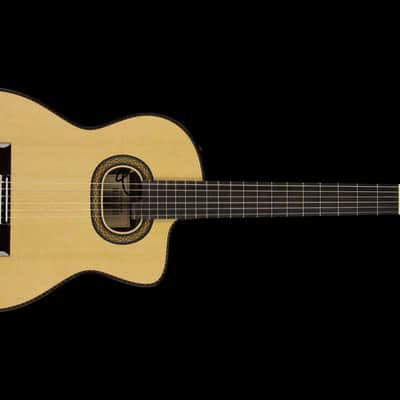 Takamine TH90 Hirade (#973) image 13
