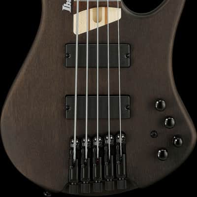 Ibanez EHB Ergonomic Headless Bass 5 String - Walnut Flat (EHB605WNF) image 11