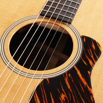 Taylor Gold Label Collection 710e Acoustic-Electric image 8