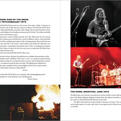 Pink Floyd The Black Strat A History of David Gilmour's Black Fender Stratocaster 1st Ed +FREE BONUS image 8