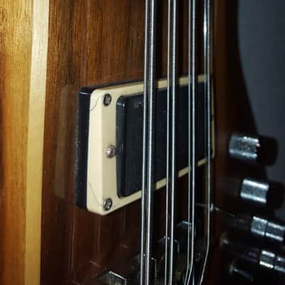 Kramer XL-8 1980 Clear / Brown Rare EMG w/ OHSC image 5