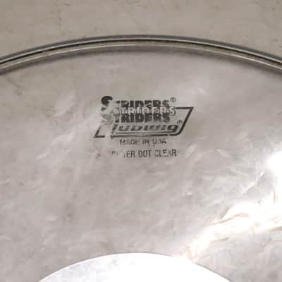 Ludwig 16" Striders Clear Silver Dot Drum Head Vintage image 2